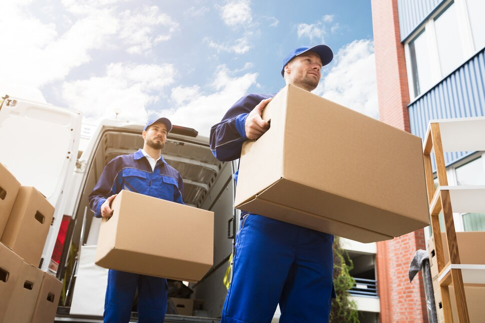 moving company Auckland