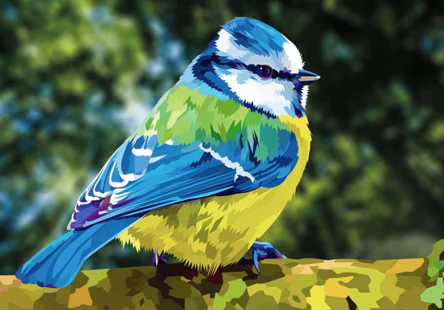 birds paint by numbers