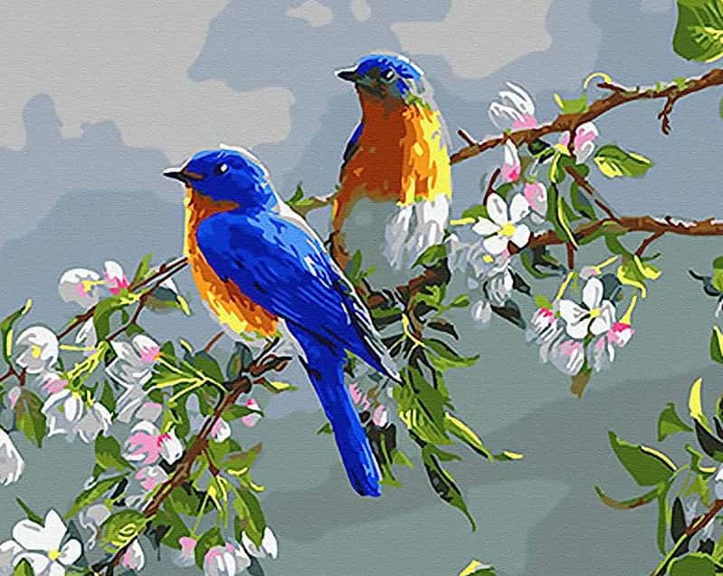 birds paint by numbers